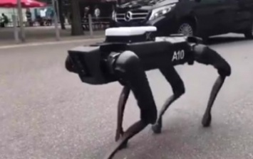 Boston Dynamics выгуляли робота-собаку в Ганновере