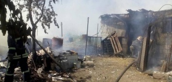 В селе под Бердянском в пожаре погибли домашние животные