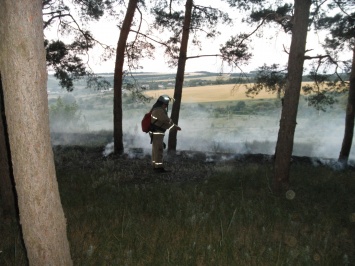 На Луганщине спасатели предотвратили угрозу лесного пожара