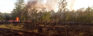 В Покровске и Покровском районе снова горели экосистемы