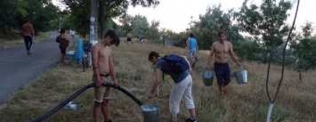 Семь тонн воды в час: одесситы спасают молодые деревья от жары, - ФОТО