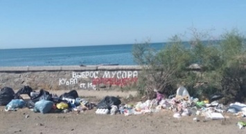 В Бердянске отдыхающих встречают горами мусора на пляжах (фото)