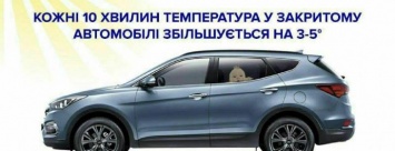 Осторожно! Оставленный в припаркованном автомобиле ребенок может получить тепловой удар
