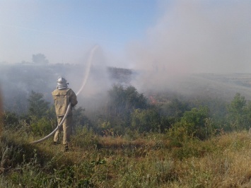 На Николаевщине за сутки пять раз гасили пожар в поле