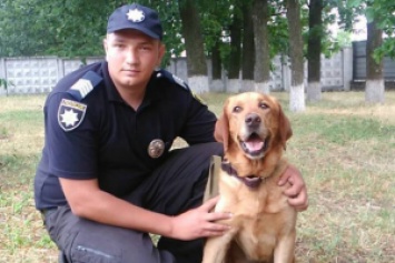 На Кировоградщине служебный пес помог разыскать сбежавших заключенных