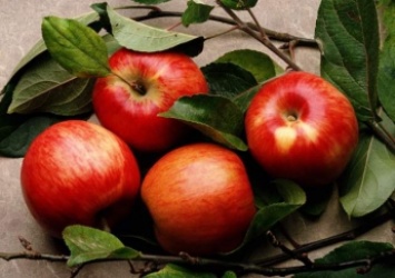 Кожура яблок поможет спастись от смертельной болезни