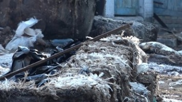 Заводы по утилизации органических отходов держат в заложниках украинских фермеров