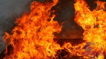 В Запорожье квартирв в многоэтажке выгорела дотла