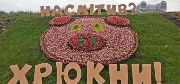 "Насорил? Хрюкни!": в Киеве появилась клумба в виде свиньи, - ФОТО