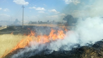 Горели камыш, сухая трава и мусор: за сутки спасатели тушили 14 пожаров в экосистемах Одесской области