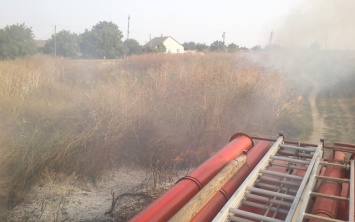Пожарные Херсонщины трижды ликвидировали возгорание сухостоя в последний день июня