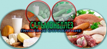 В Николаевской области зарегистрирована вспышка острых кишечных инфекций - сальмонеллез