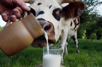 Минагрополитики: Запрет на закупку молока у населения отсрочен до 2022 года