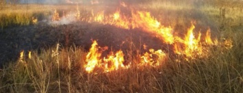 Чрезвычайная пожарная опасность объявлена на Донетчине: в Доброполье тушили пожар