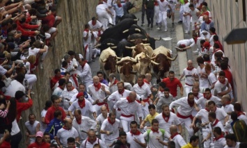 Во время испанского "забега быков" пострадали 5 человек