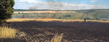 Кременчугские пожарные бьют тревогу: за неделю сгорели 48 га посевов