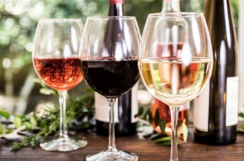 Как выбрать хорошее и недорогое вино в Украине: 5 толковых советов