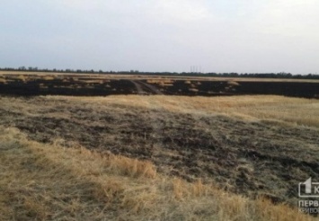 Криворожские фермеры своими силами потушили горевшее поле