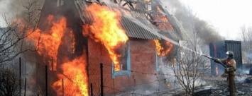 В Бердянском районе пожар уничтожил дачу