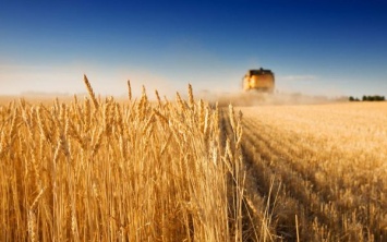 В Запорожской области собран первый миллион тонн зерна