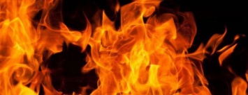ГСЧС: В Краматорске произошло 19 пожаров за 7 дней