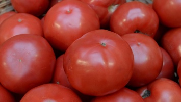 В Симферополе уничтожили почти четыре центнера азербайджанских помидоров