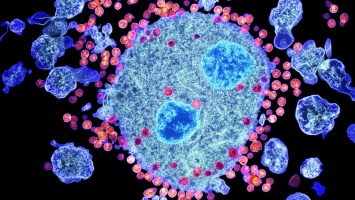 Разрабатывается новая вакцина от ВИЧ-инфекции