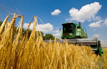 На Николаевщине намололи 1,7 миллиона тонн зерна. Средняя урожайность выше, чем год назад