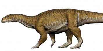 Обнаружен новый вид гигантского динозавра