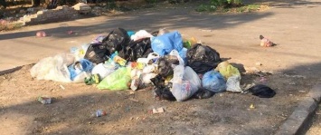 Горы мусора «оккупировали» улицы Херсона