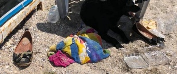 Одесский Хатико целый день дожидался на пляже хозяйку: спасатели ищут тело, - ФОТО