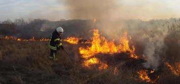 За прошедшие сутки на Донетчине возникло 21 возгорание на открытых территориях, в том числе и в Покровском районе