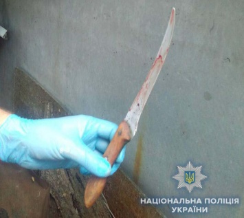Бездомный житель Болграда изрезал ножом пенсионерку ради 300 гривен и мобильника
