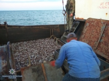 Продолжается расследование по факту незаконного вылова рыбы во время нерестового запрета в Запорожской области (фото, видео)