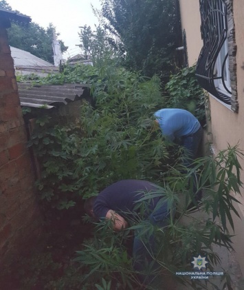 В Николаеве полиция задержала двух братьев-наркоторговцев