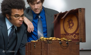 BitPico: 98% нод Bitcoin Cash расположены в одном датацентре