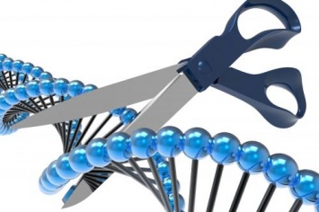 Ученым удалось успешно редактировать геном человека без использования вируса