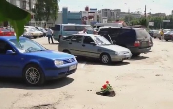 В Черновцах посадили цветы в ямы на дороге