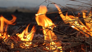 Возгорание стога сена в одесском селе привело к его большим потерям