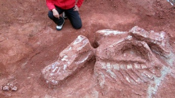 В аргентинской провинции Сан-Хуан были обнаружены останки ранее неизвестного вида динозавров, который получил название Ingenia prima - первый гигант
