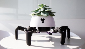 Представлен умный робот-паук для ухода за домашними растениями