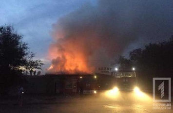 Масштабный пожар в Кривом Роге: охватив кафе, пламя перебросилось на соседние магазины