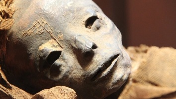 Ученые воссоздали последнюю трапезу замерзшей мумии