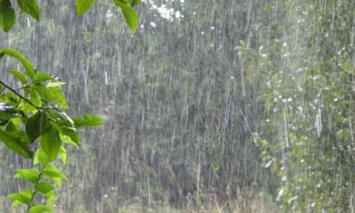 На Киев надвигаются кратковременные дожди с грозами