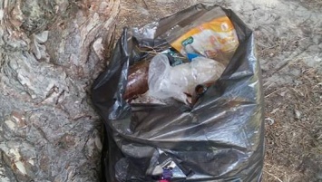 На Херсонщине лес превращают в мусорную свалку