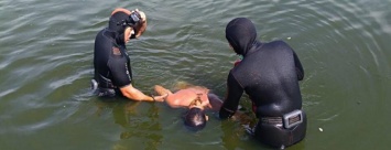 На Днепропетровщине нашли утонувшего мужчину, - ФОТО 18+