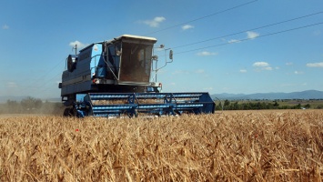 В Крыму предлагают наказывать аграриев за "неместные" семена