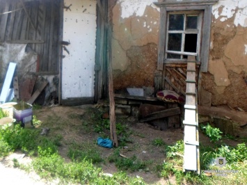 В Харьковской области полиция расследует убийство девяти котов