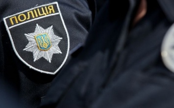 Житель Запорожской области ударил на Дне металлурга полицейского