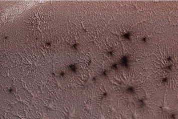 На Марсе завелись огромные пауки: фото